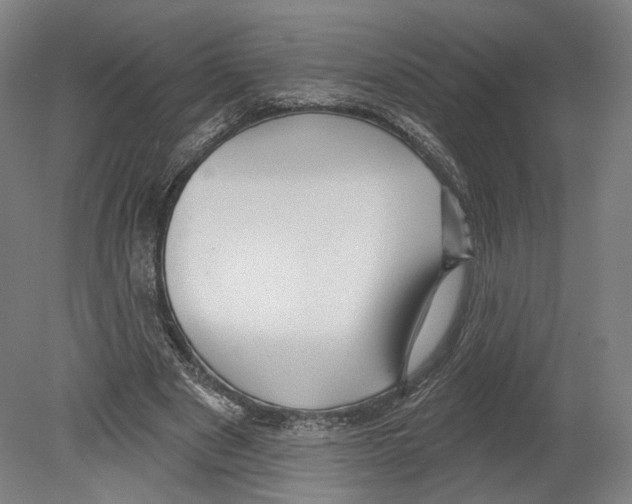 X0000080150489200701051543
