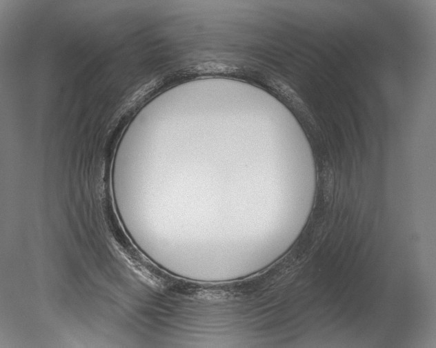 X0000080150490200701051543