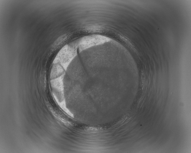 X0000080150494200701051543
