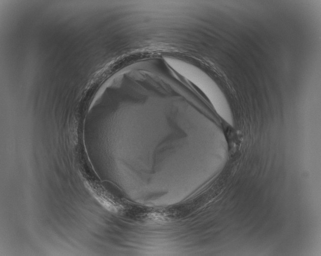X0000080150496200701051543