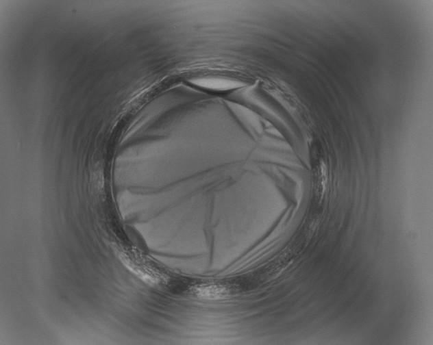 X0000080150500200701051543