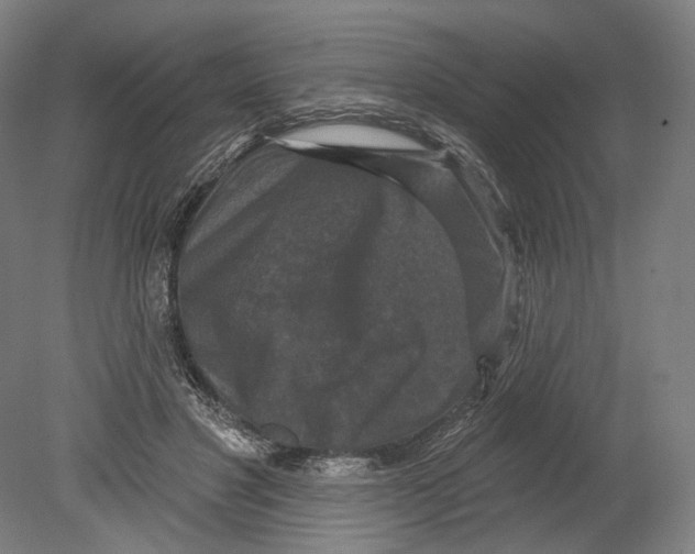 X0000080150501200701051543