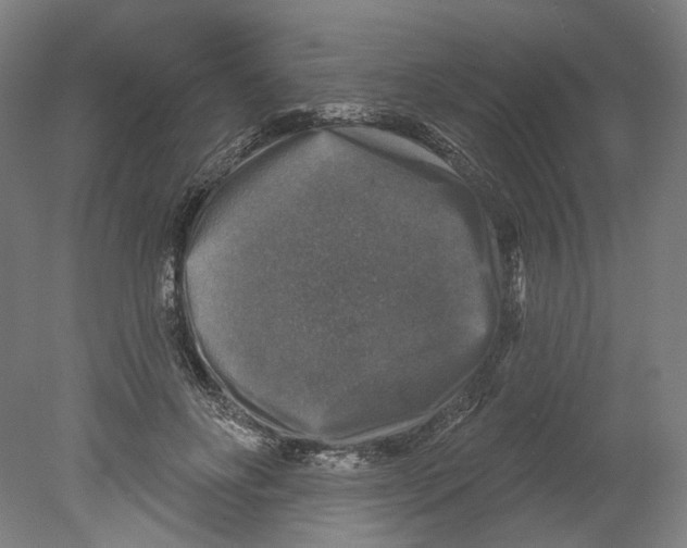 X0000080150502200701051543