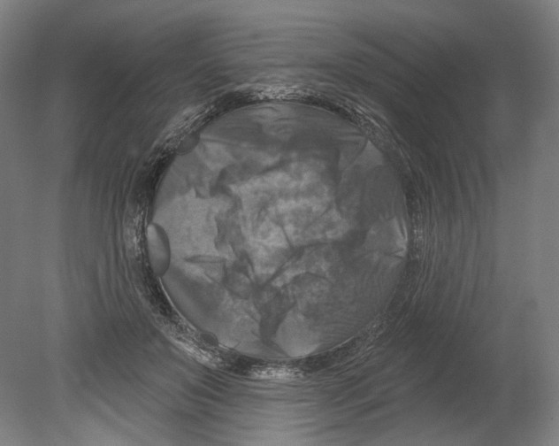 X0000080150503200701051543