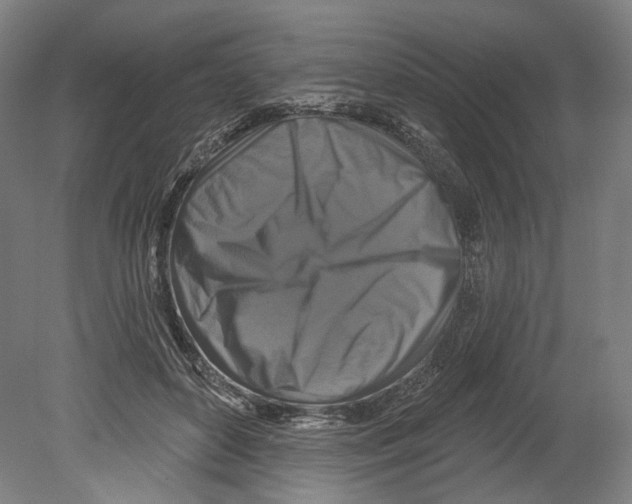 X0000080150504200701051543