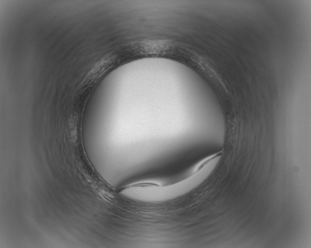 X0000080150505200701051543