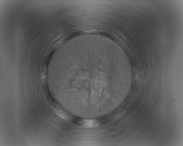 X0000080150507200701051543