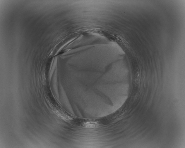X0000080150508200701051543
