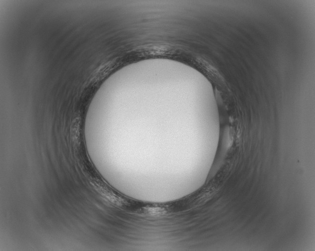 X0000080150509200701051543