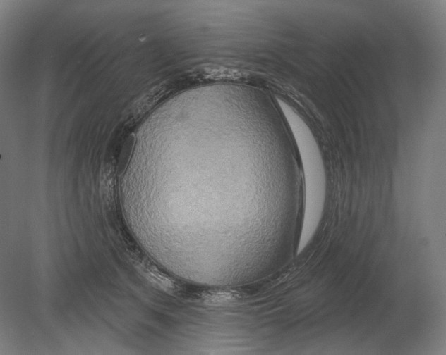 X0000080150513200701051543