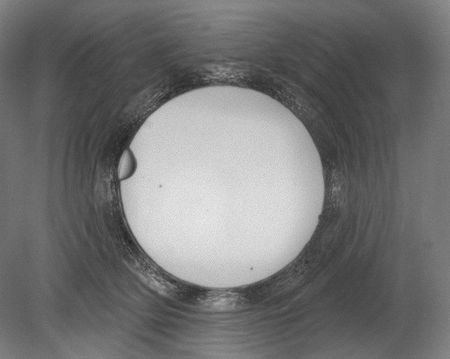 X0000080150514200701051543