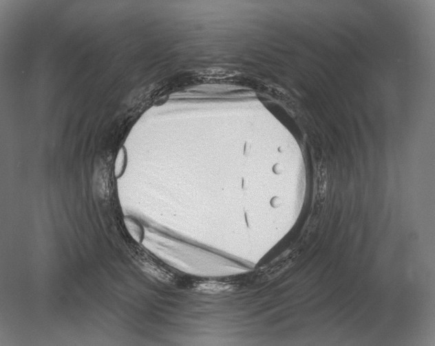 X0000080150515200701051543