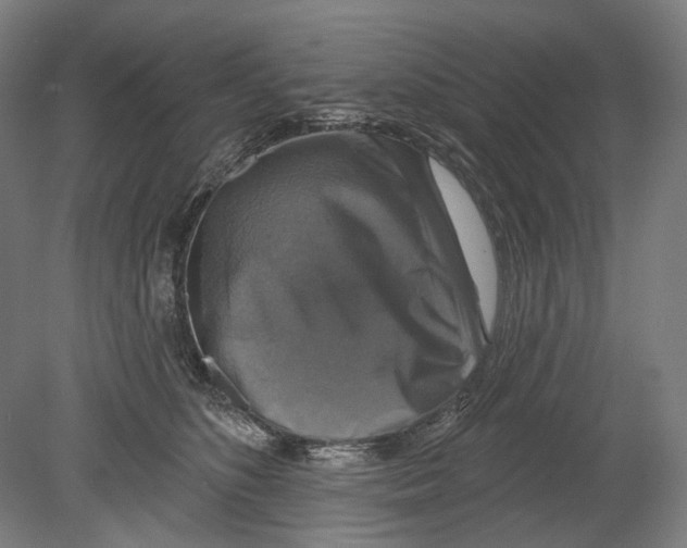 X0000080150516200701051543