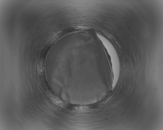 X0000080150517200701051543