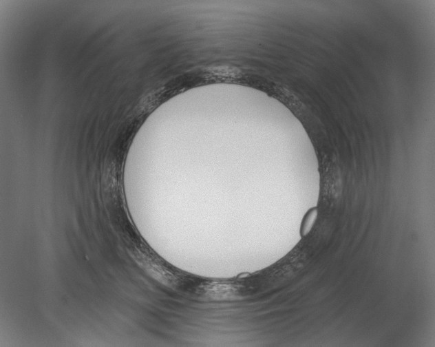 X0000080150518200701051543