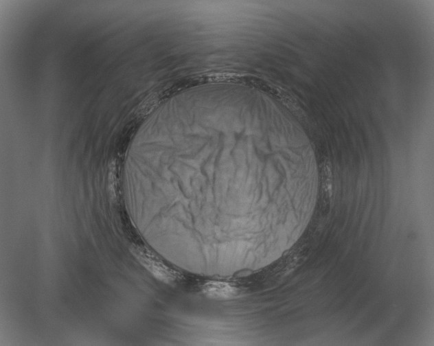 X0000080150519200701051543
