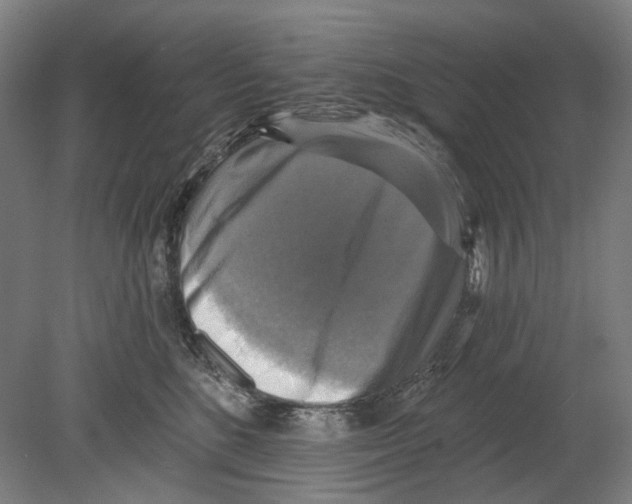 X0000080150520200701051543