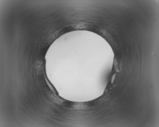 X0000080150521200701051543
