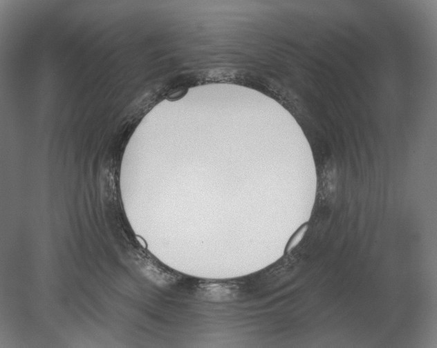 X0000080150522200701051543