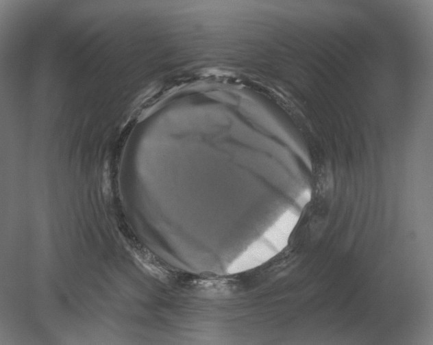 X0000080150524200701051542