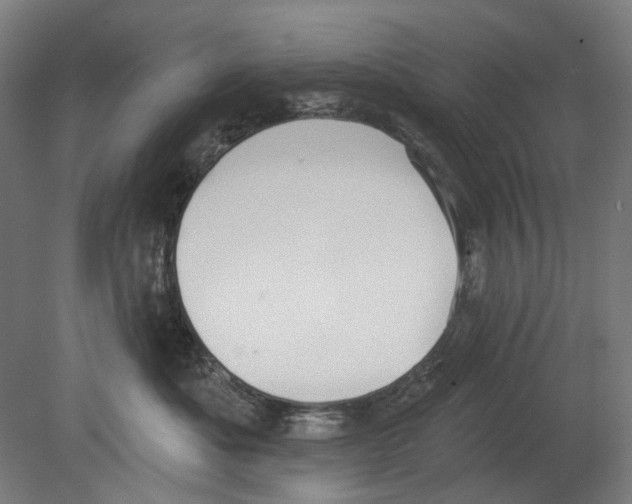 X0000080150525200701051542
