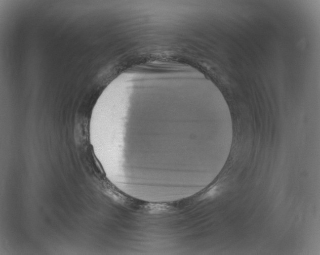 X0000080150528200701051542