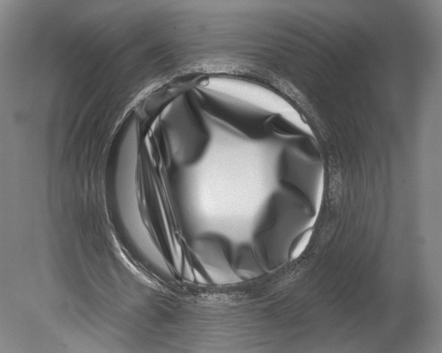 X0000080150530200701051542
