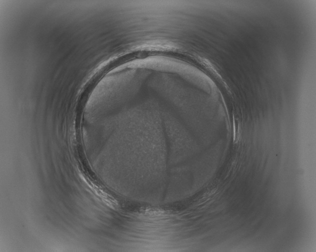 X0000080150531200701051542