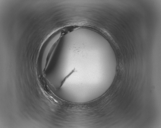 X0000080150532200701051542