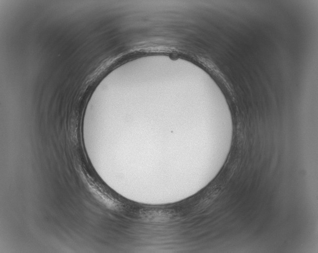 X0000080150533200701051542