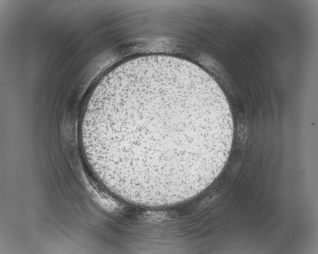 X0000080150534200701051542