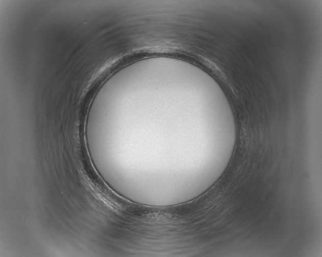 X0000080150535200701051542