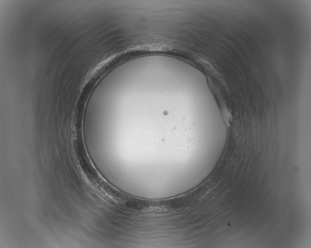 X0000080150536200701051542