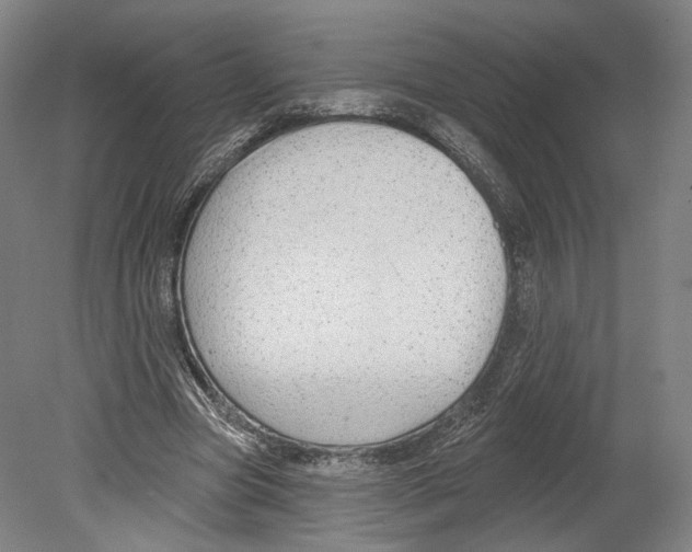 X0000080150537200701051542