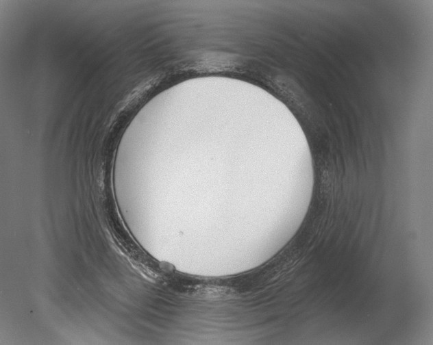 X0000080150539200701051542