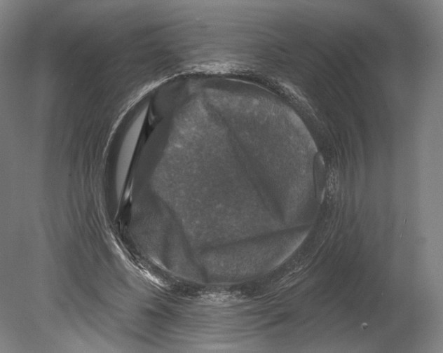 X0000080150540200701051542
