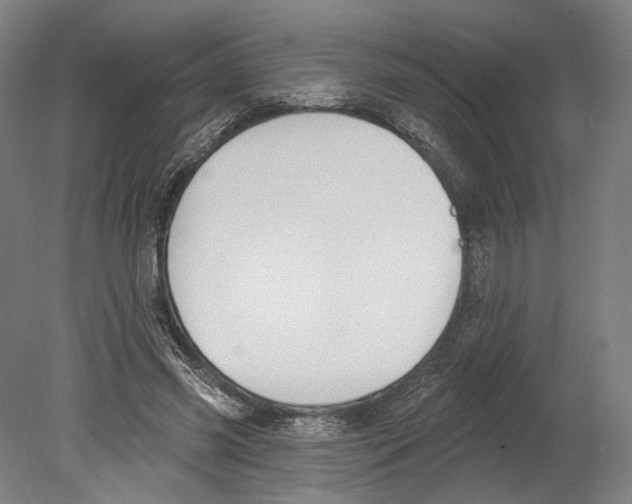 X0000080150541200701051542
