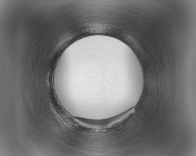 X0000080150543200701051542
