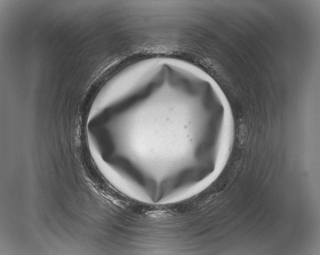 X0000080150544200701051542