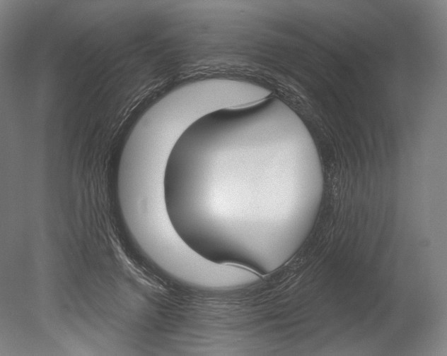 X0000080150546200701051542