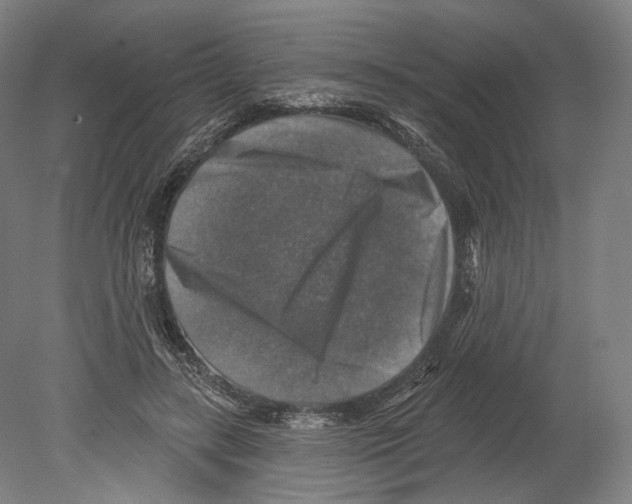 X0000080150547200701051542