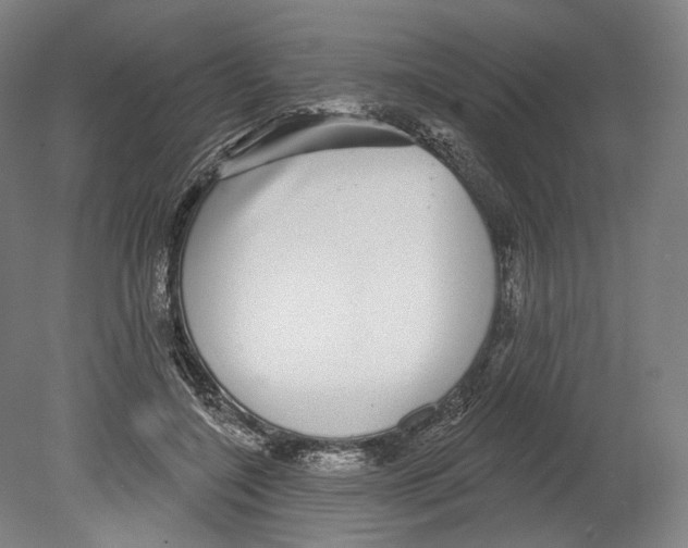 X0000080150548200701051542
