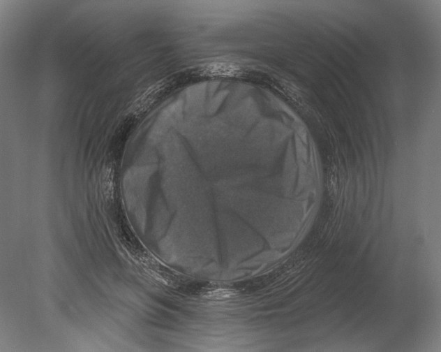 X0000080150551200701051542