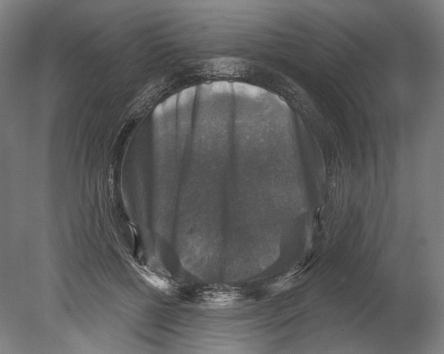X0000080150552200701051542