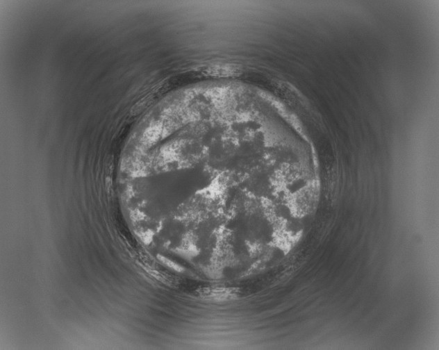 X0000080150553200701051542