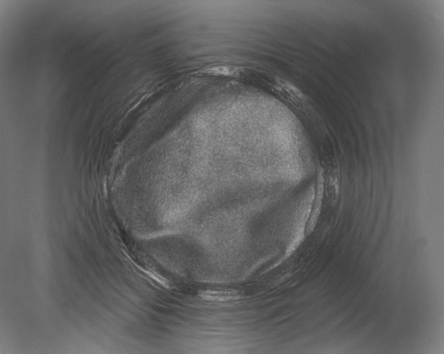 X0000080150556200701051542