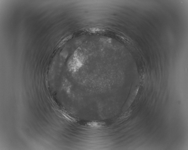X0000080150558200701051542