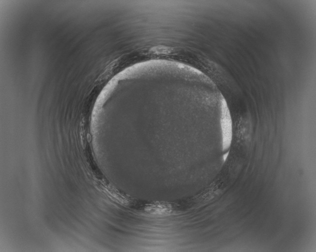 X0000080150559200701051542