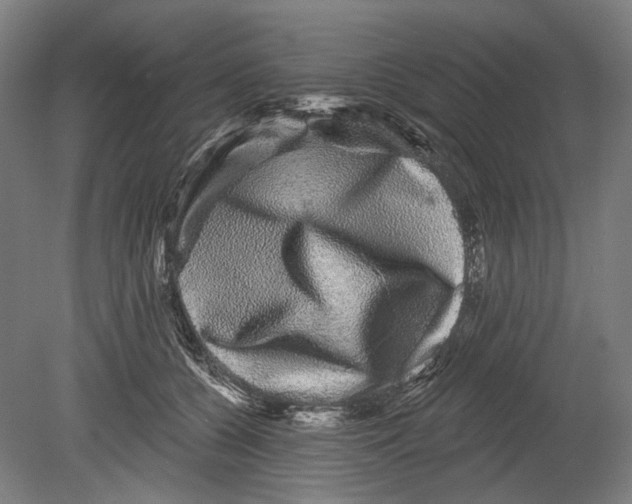 X0000080150560200701051542