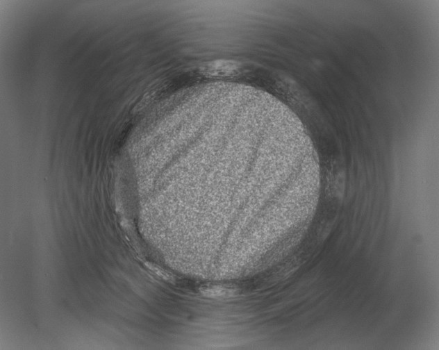X0000080150561200701051542